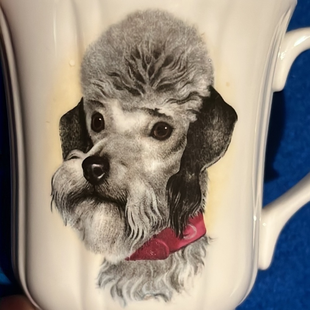 Poodle Mug Duchess Bone China, Made in England